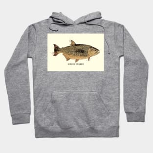 GOLDEN DORADO Vintage Art Sketch for the Fishing Lovers and Anglers Hoodie